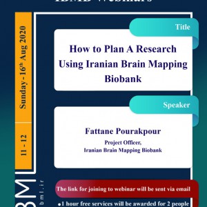 How to Plan A Research Using Iranian Brain Mapping Biobank